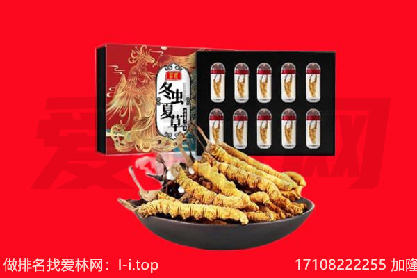 喀什地区麦盖提县回收虫草.jpg